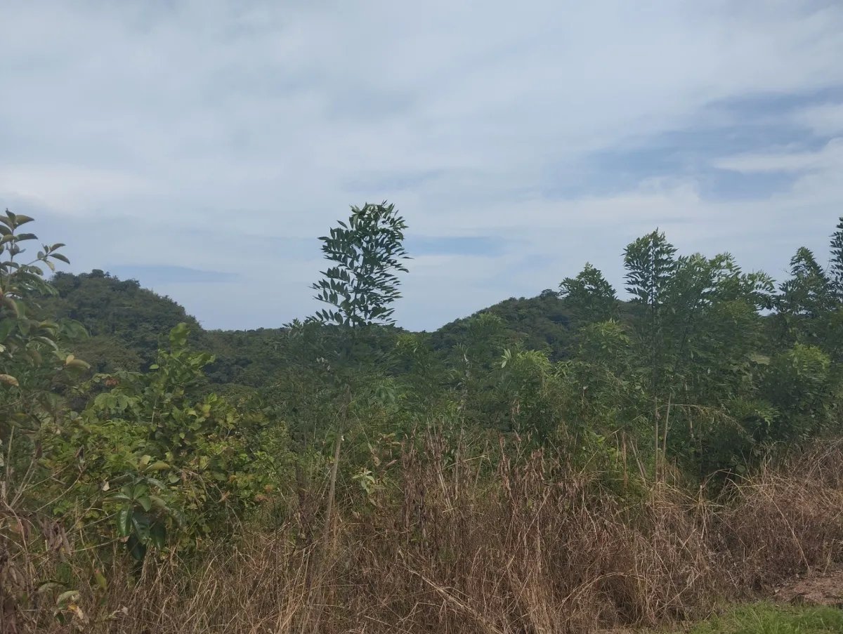 Se vende terreno en La Tambora, El Cacao, Capira