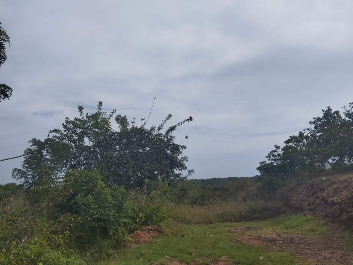 Se vende terreno en La Tambora, El Cacao, Capira