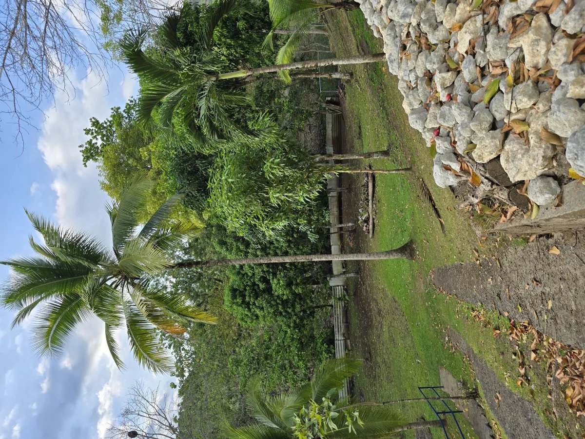 Mobile Home For Sale in Las Cumbres