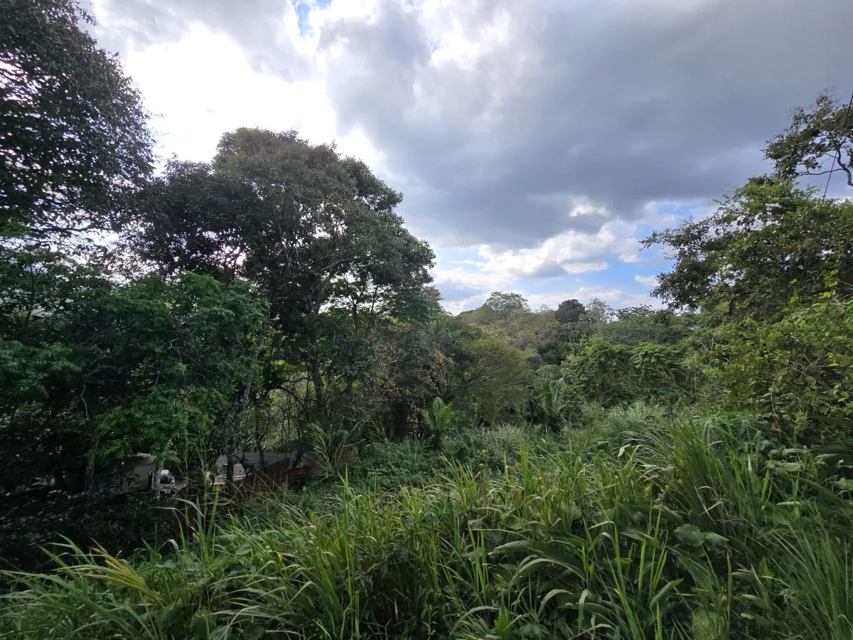 Mobile Home For Sale in Las Cumbres