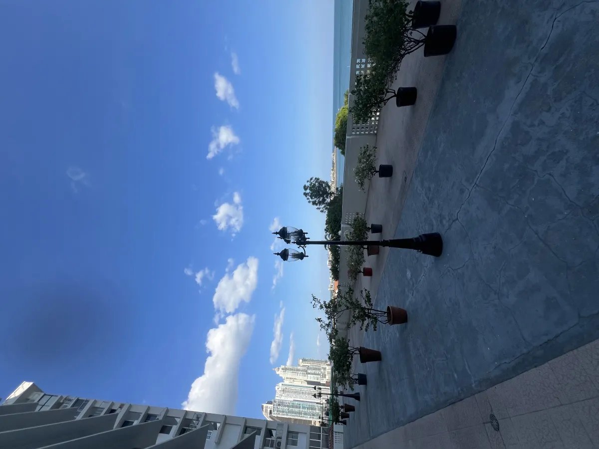 Apartamento en venta en Punta Paitilla