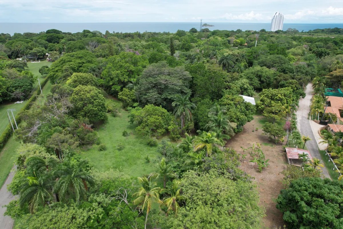 Se vende lote en Santa Clara, Coclé