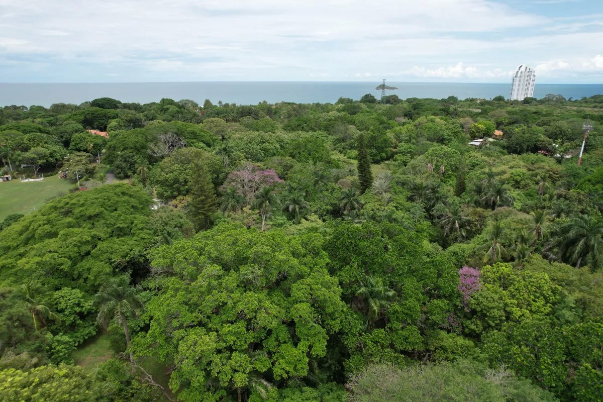 Se vende lote en Santa Clara, Coclé