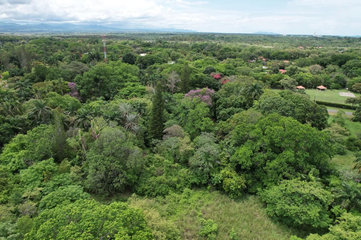 Se vende lote en Santa Clara, Coclé