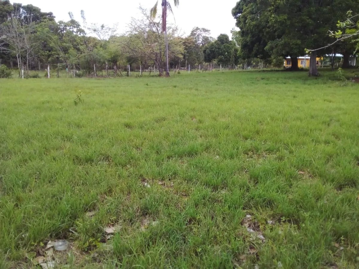 Venta de Terreno en El Chirú, Coclé, Panamá