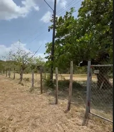 Agriculture For Sale in El Chirú