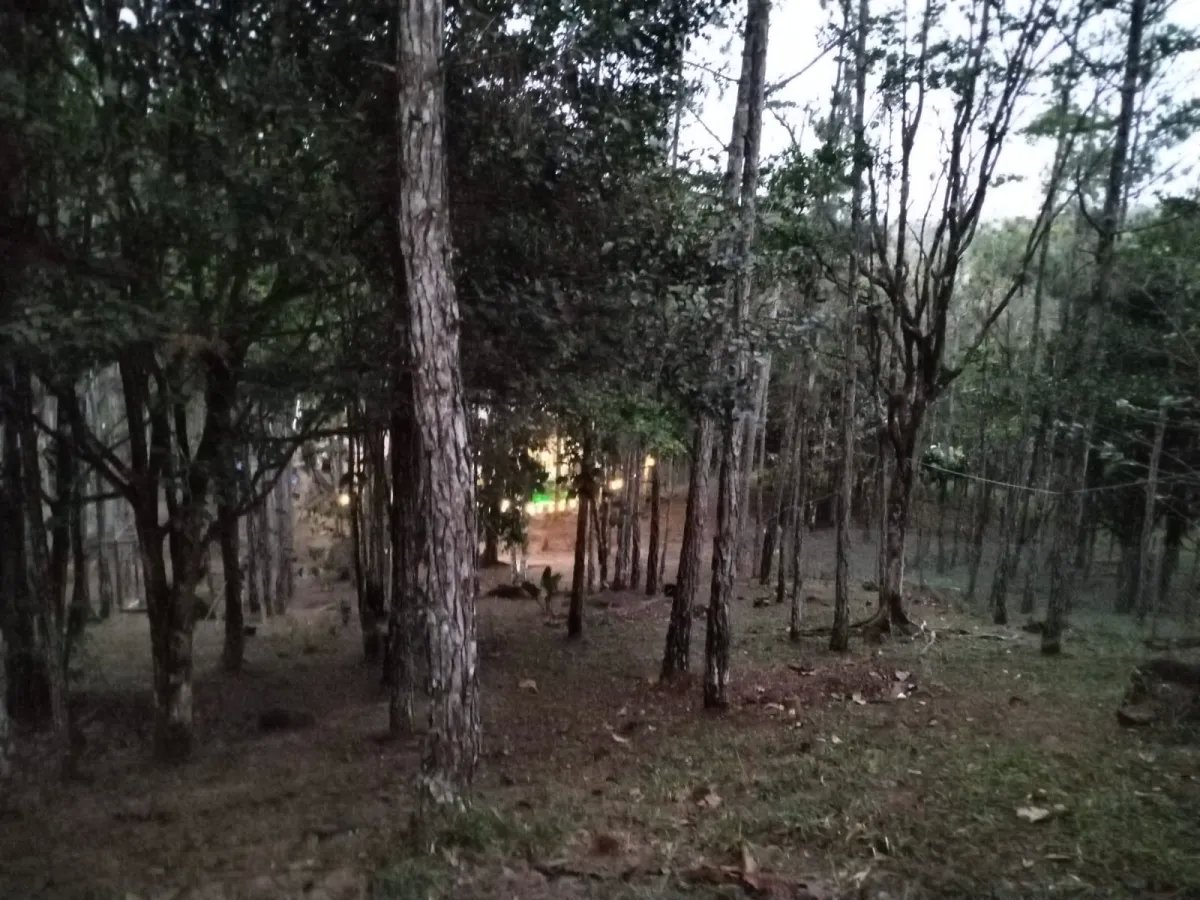 Single Family Detached For Sale in Cerro Azul