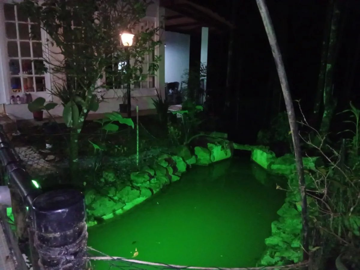 Single Family Detached For Sale in Cerro Azul