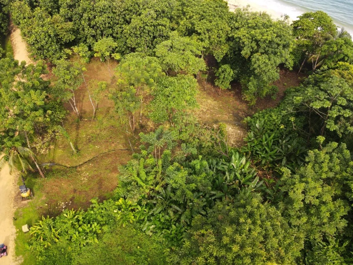 House For Sale in Bastimentos Island
