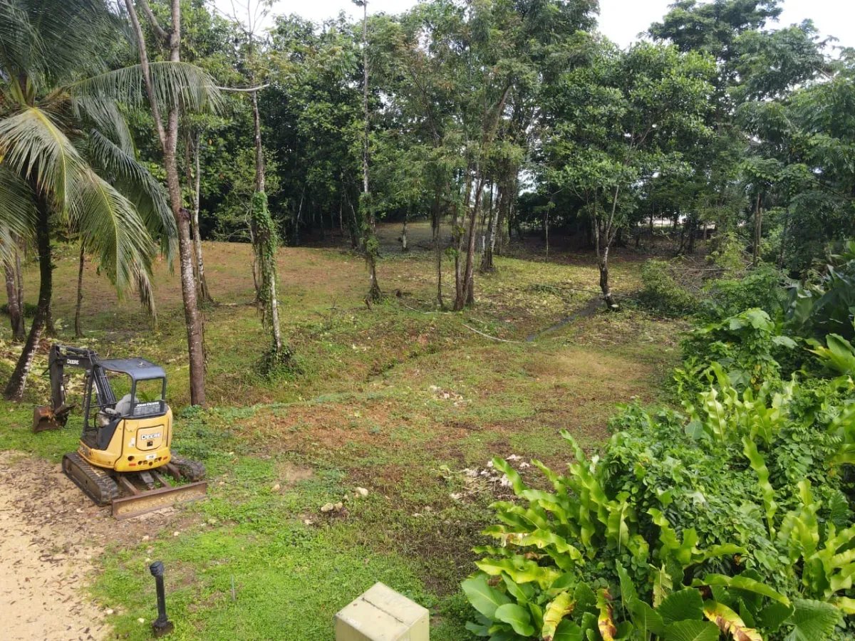 House For Sale in Bastimentos Island