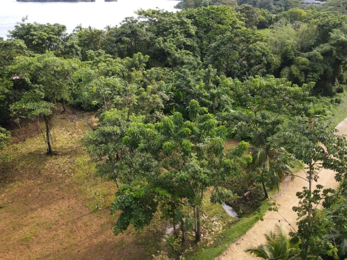 House For Sale in Bastimentos Island