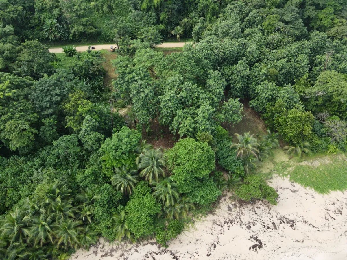 House For Sale in Bastimentos Island