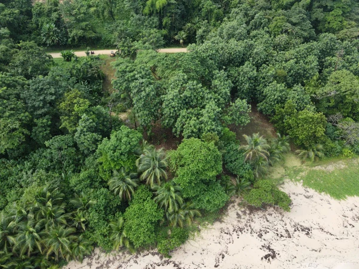 House For Sale in Bastimentos Island