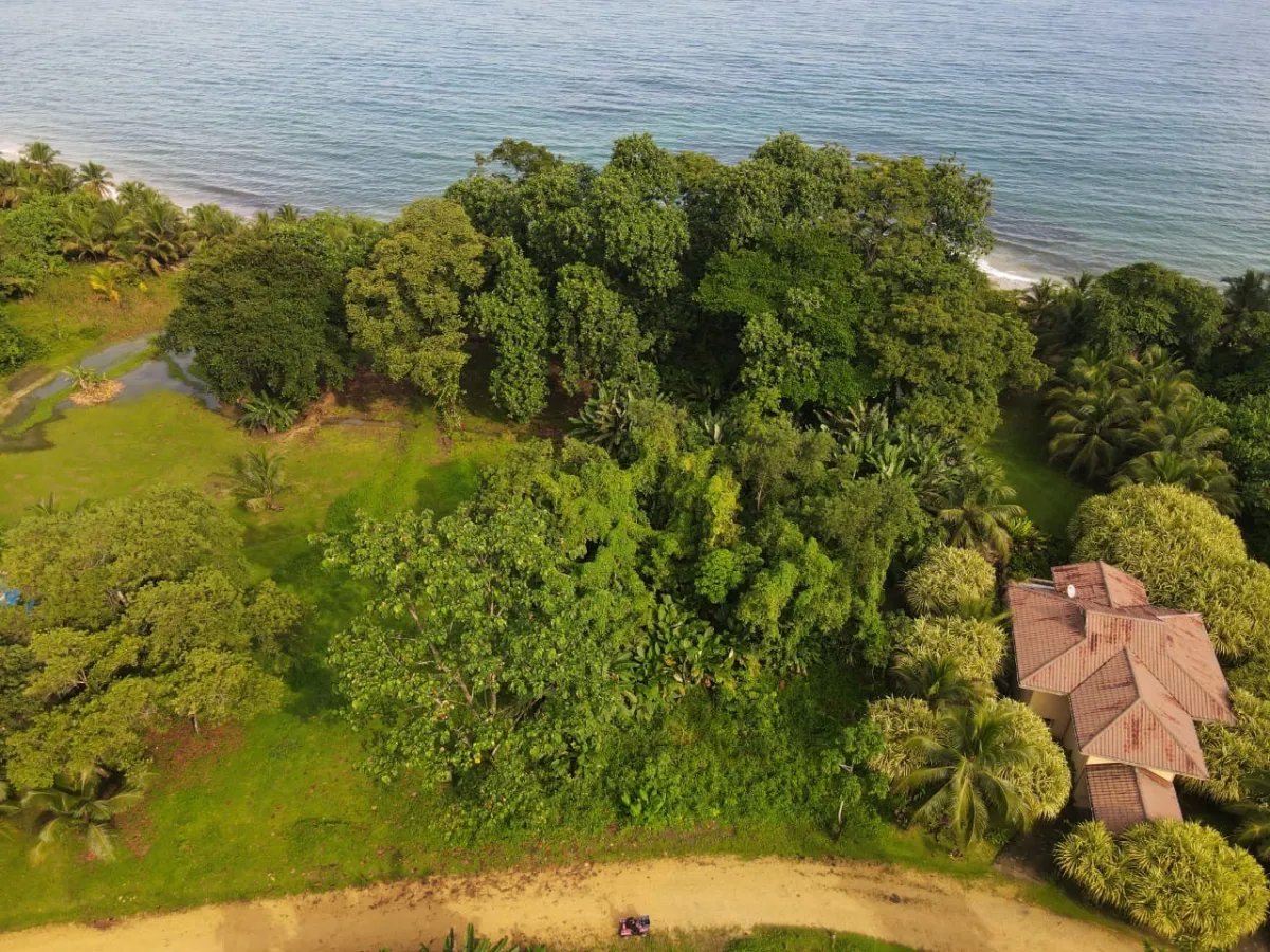 House For Sale in Bastimentos Island