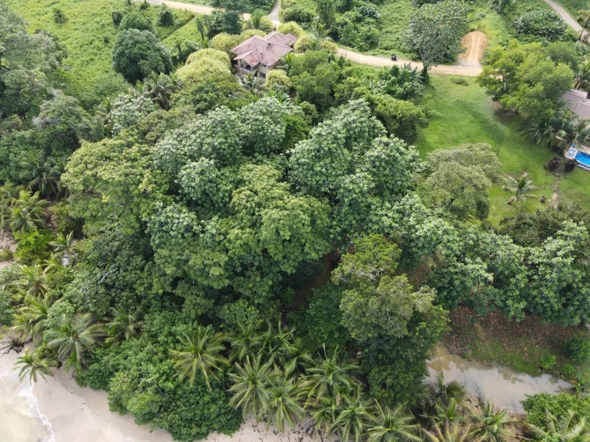 House For Sale in Bastimentos Island