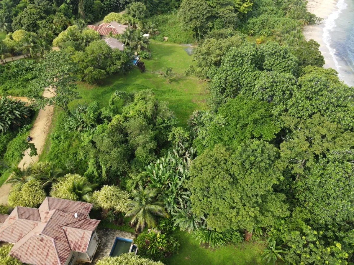 House For Sale in Bastimentos Island