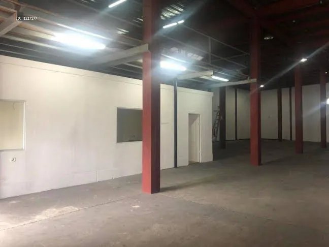 Alquiler de Bodega en  Costa del Este