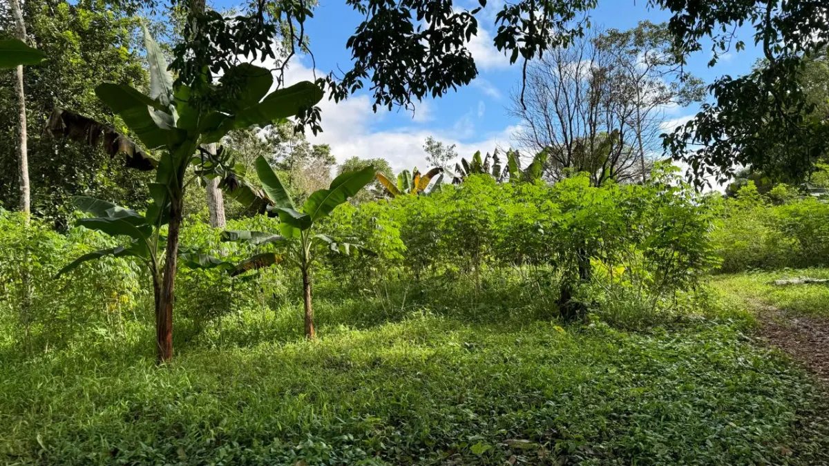 House For Sale in Sector Paraíso, vía principal