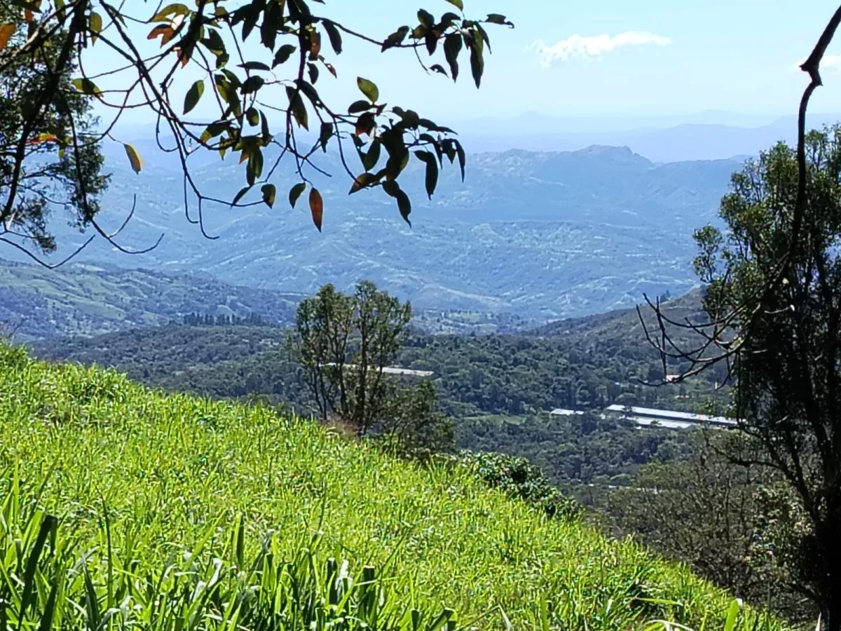 House For Sale in Carretera India Vieja
