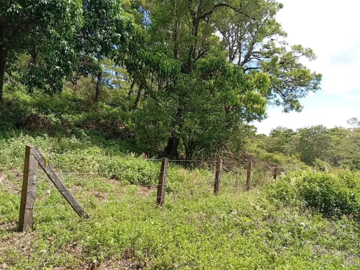 ¡Hermoso terreno a la venta en Boquete!/ Beautiful Land for Sale in Bo...