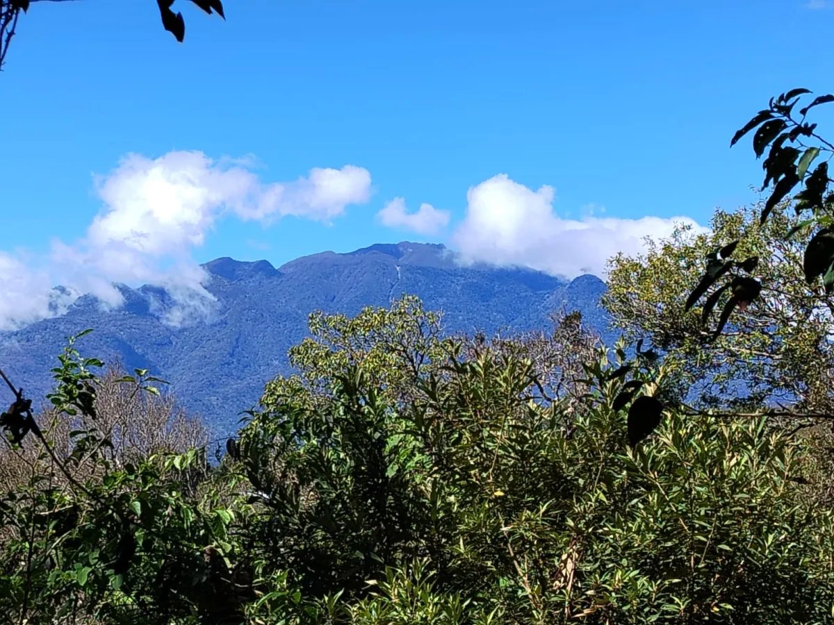 ¡Hermoso terreno a la venta en Boquete!/ Beautiful Land for Sale in Bo...
