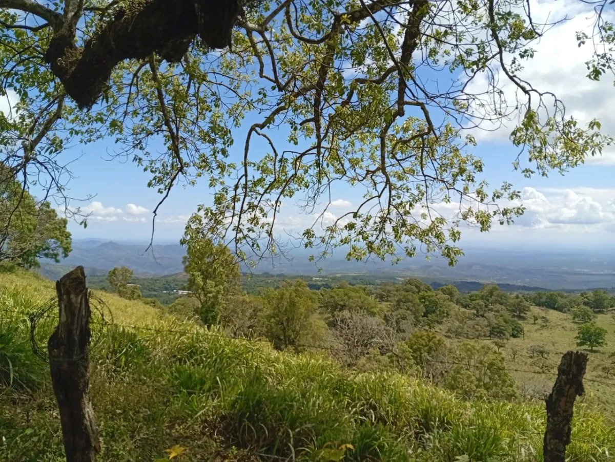 House For Sale in Carretera India Vieja