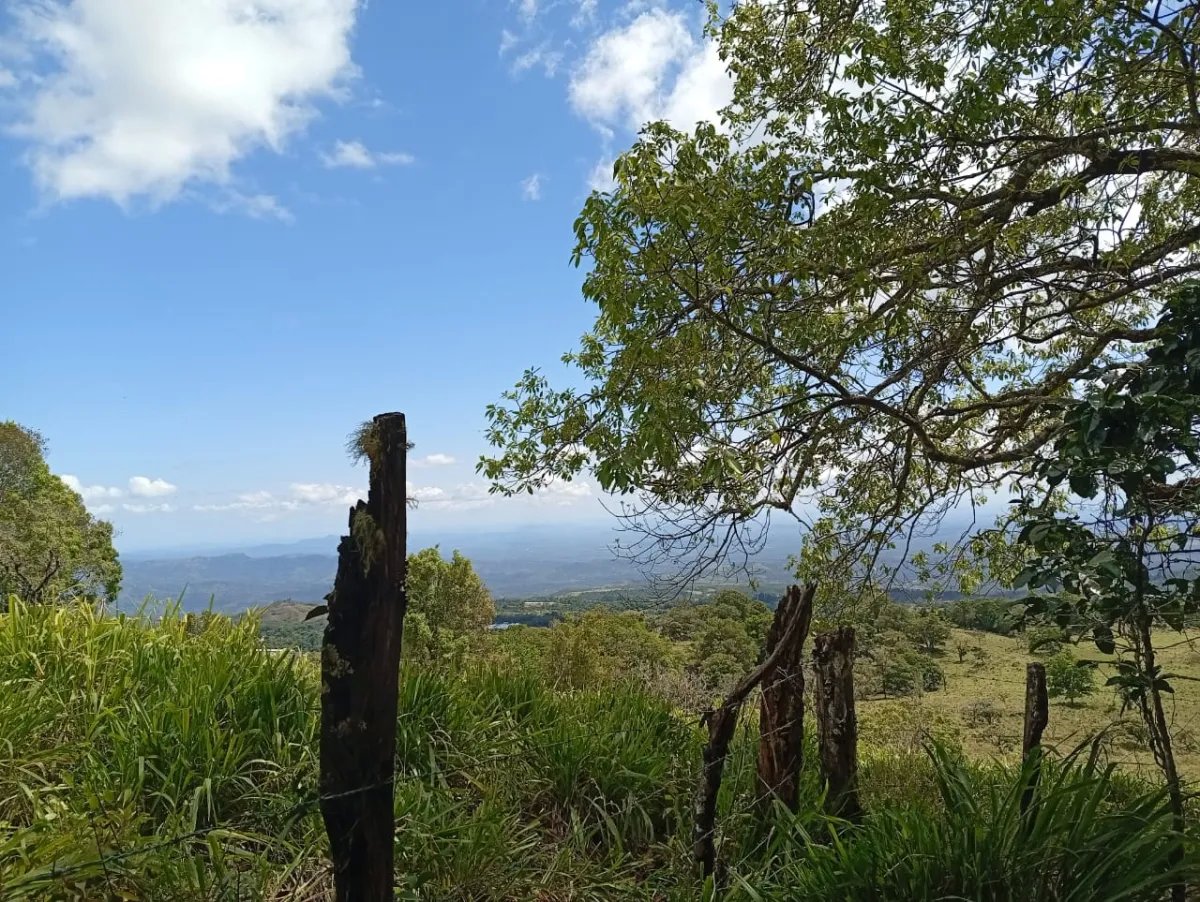 House For Sale in Carretera India Vieja