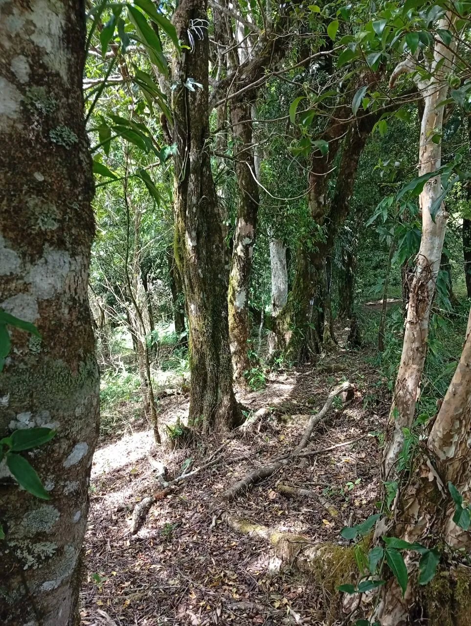 House For Sale in Carretera India Vieja