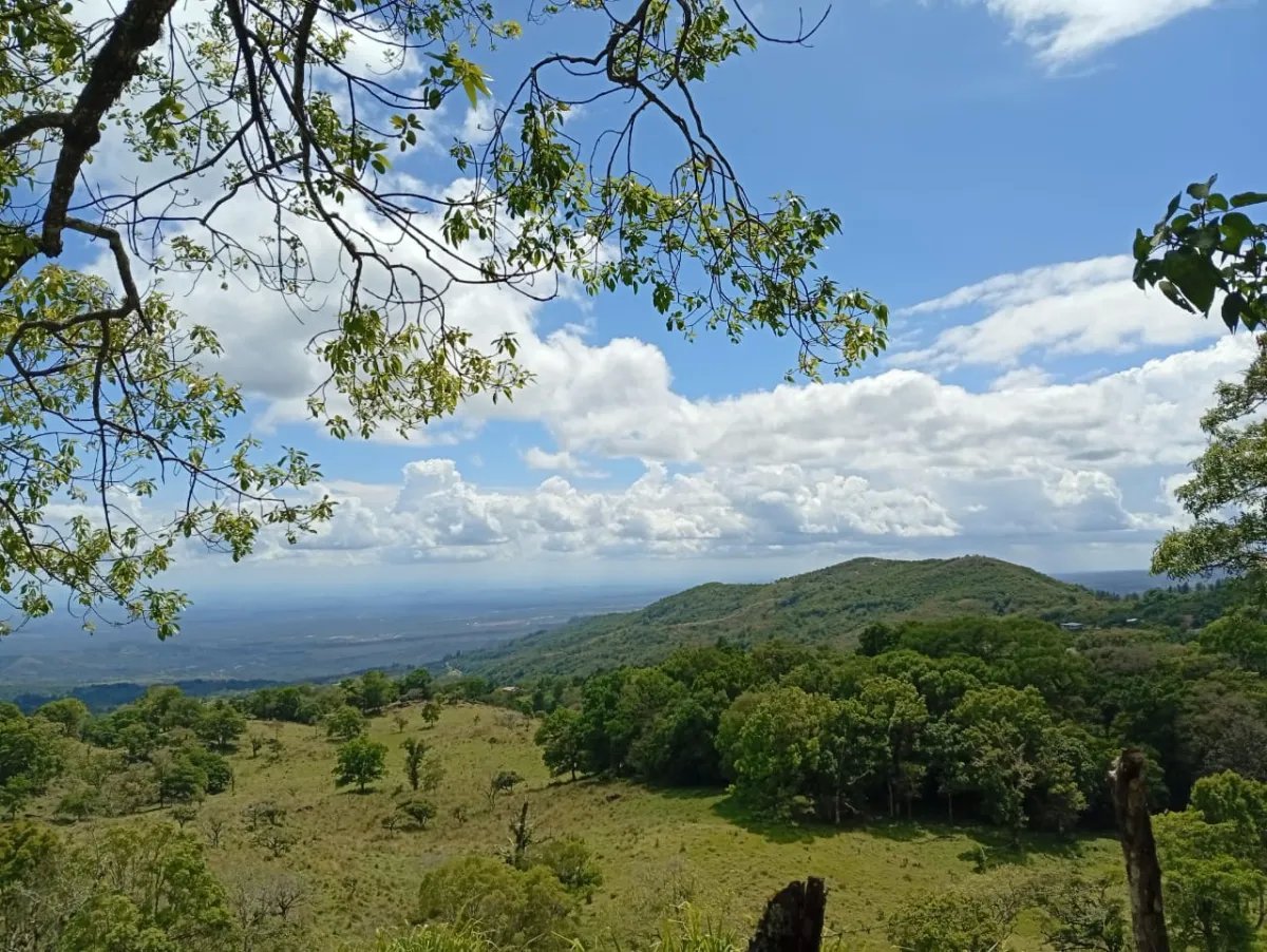 House For Sale in Carretera India Vieja