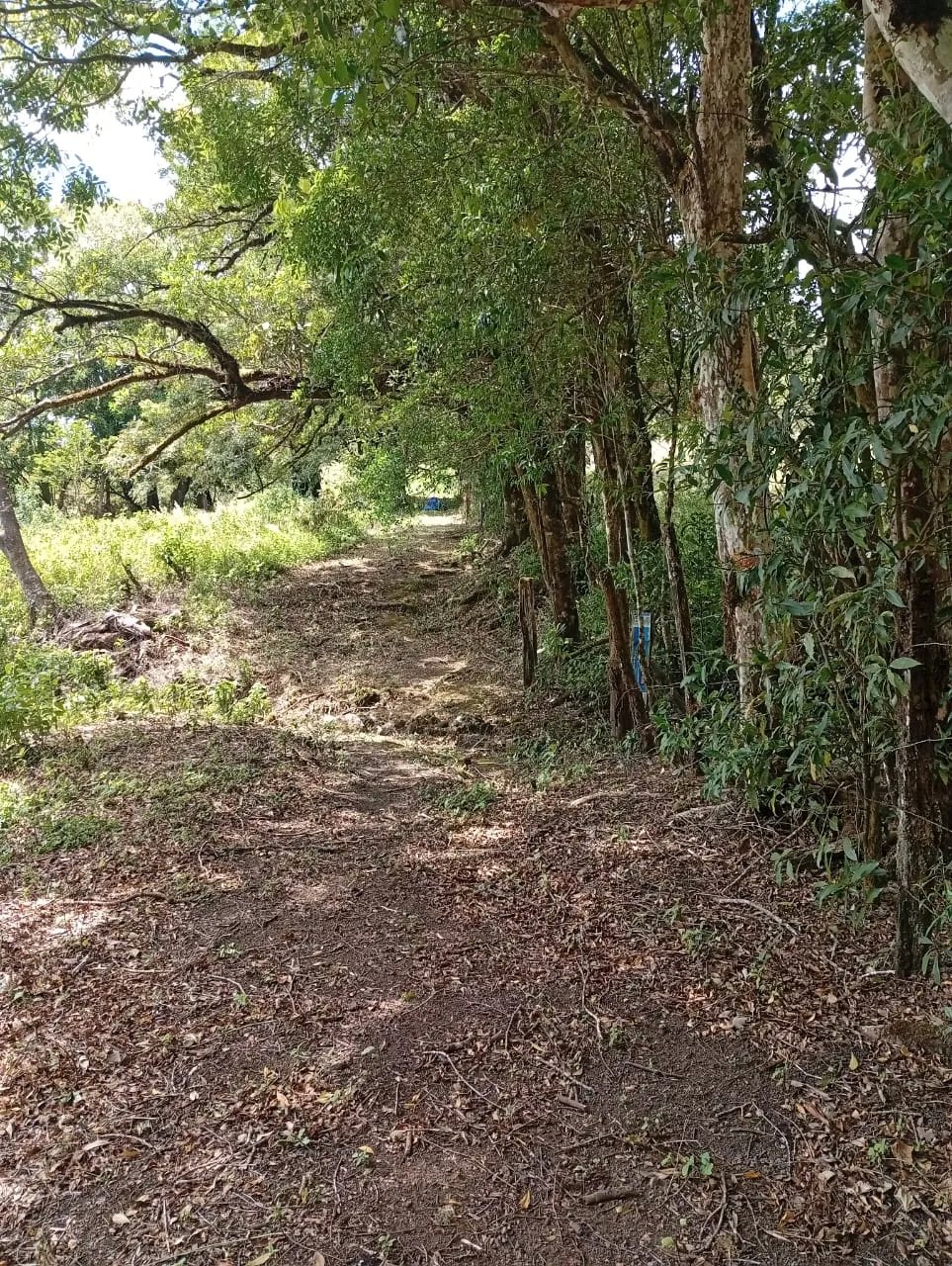 House For Sale in Carretera India Vieja