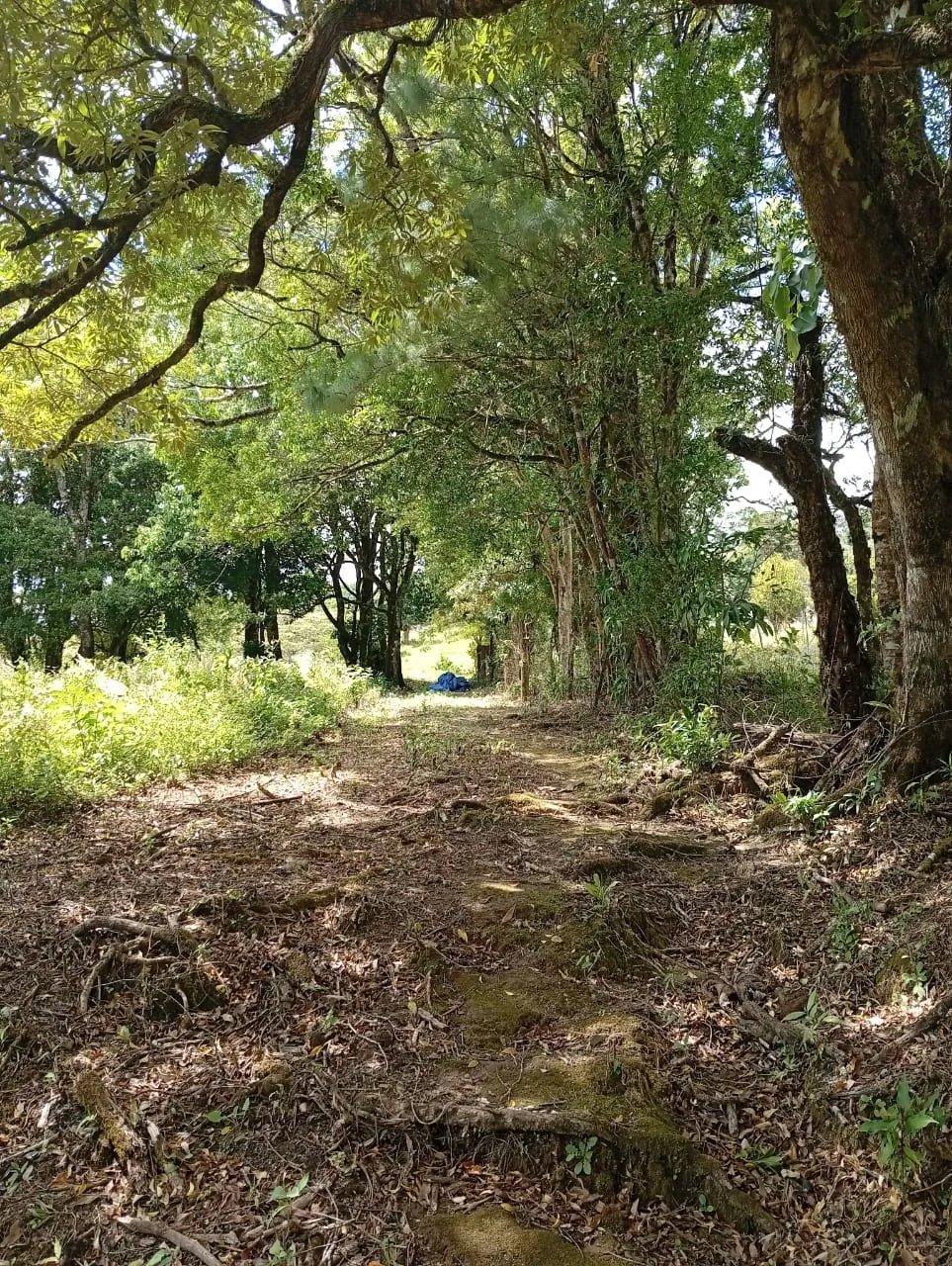House For Sale in Carretera India Vieja
