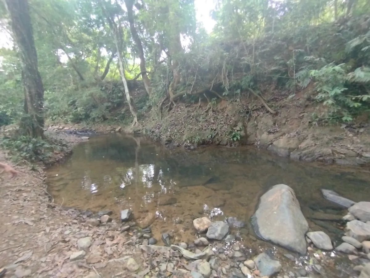 Se vende lote de terreno en Villalobos, Pedregal