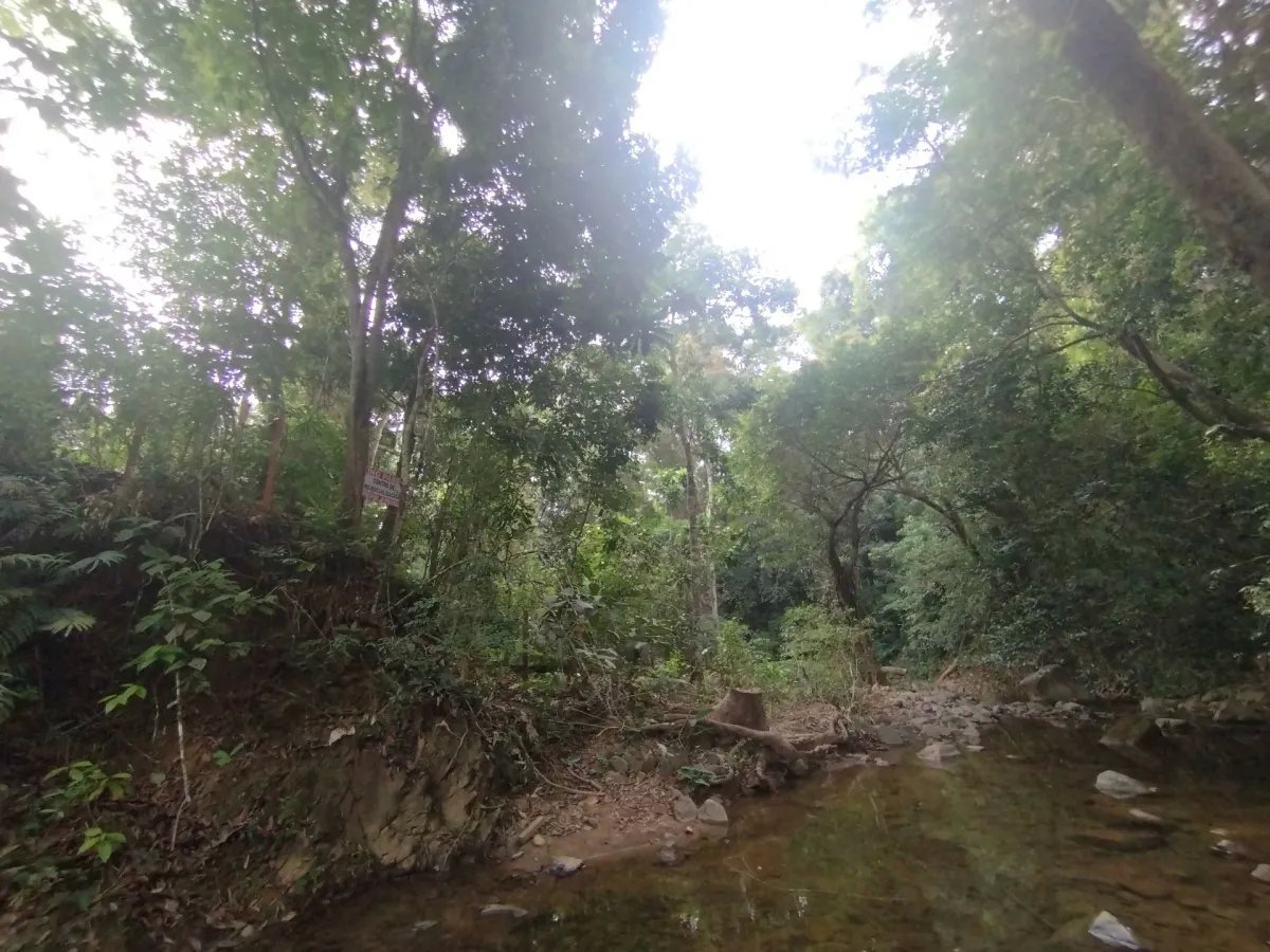 Se vende lote de terreno en Villalobos, Pedregal