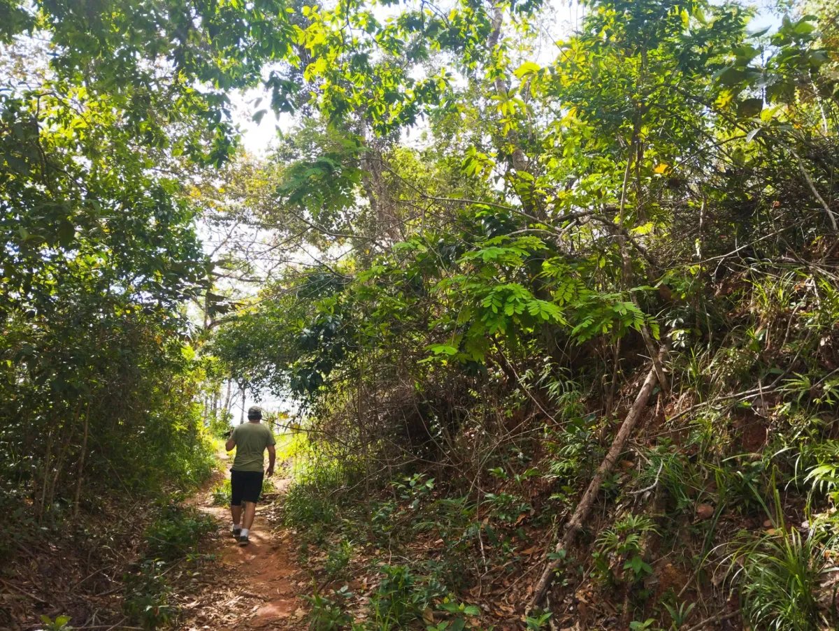 Unimproved Land For Sale in Pedregal Villalobos