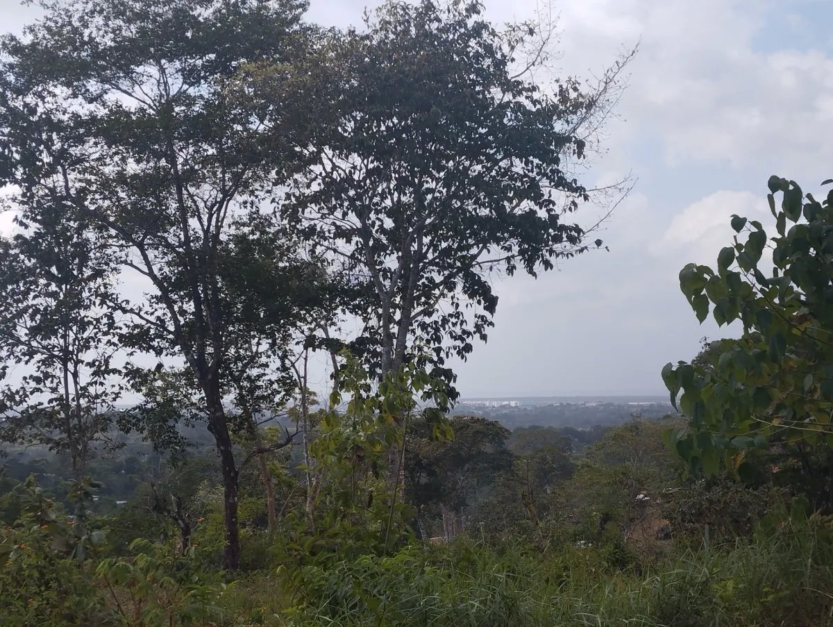 Unimproved Land For Sale in Pedregal Villalobos