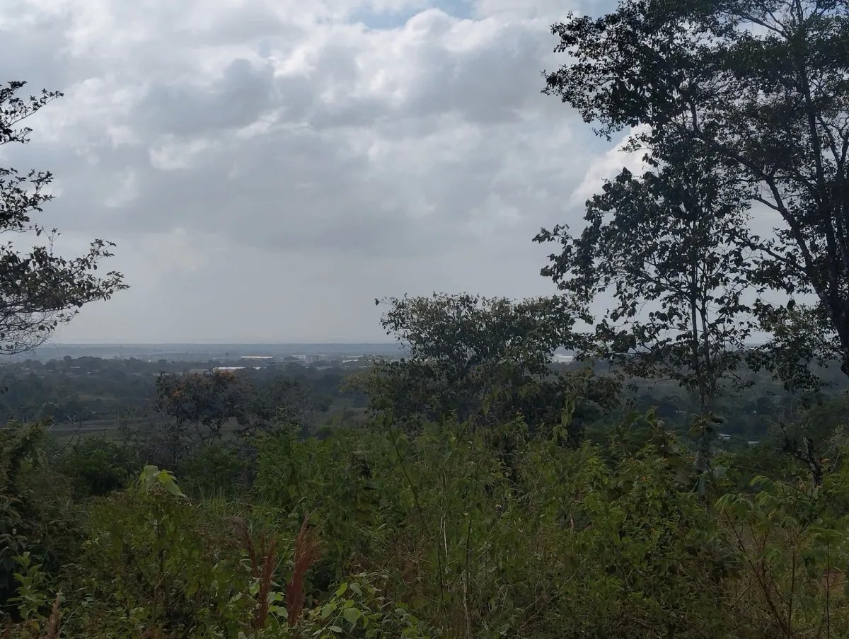 Unimproved Land For Sale in Pedregal Villalobos