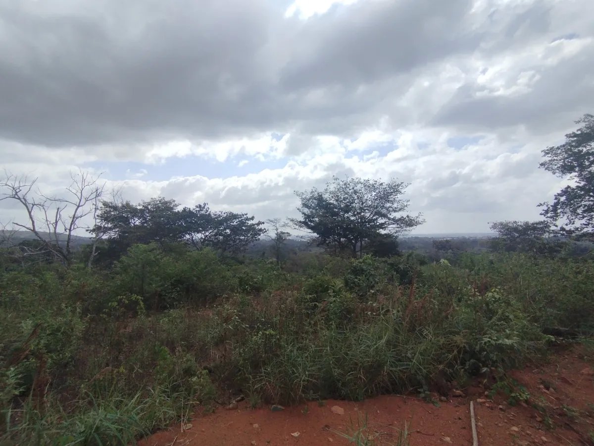Unimproved Land For Sale in Pedregal Villalobos