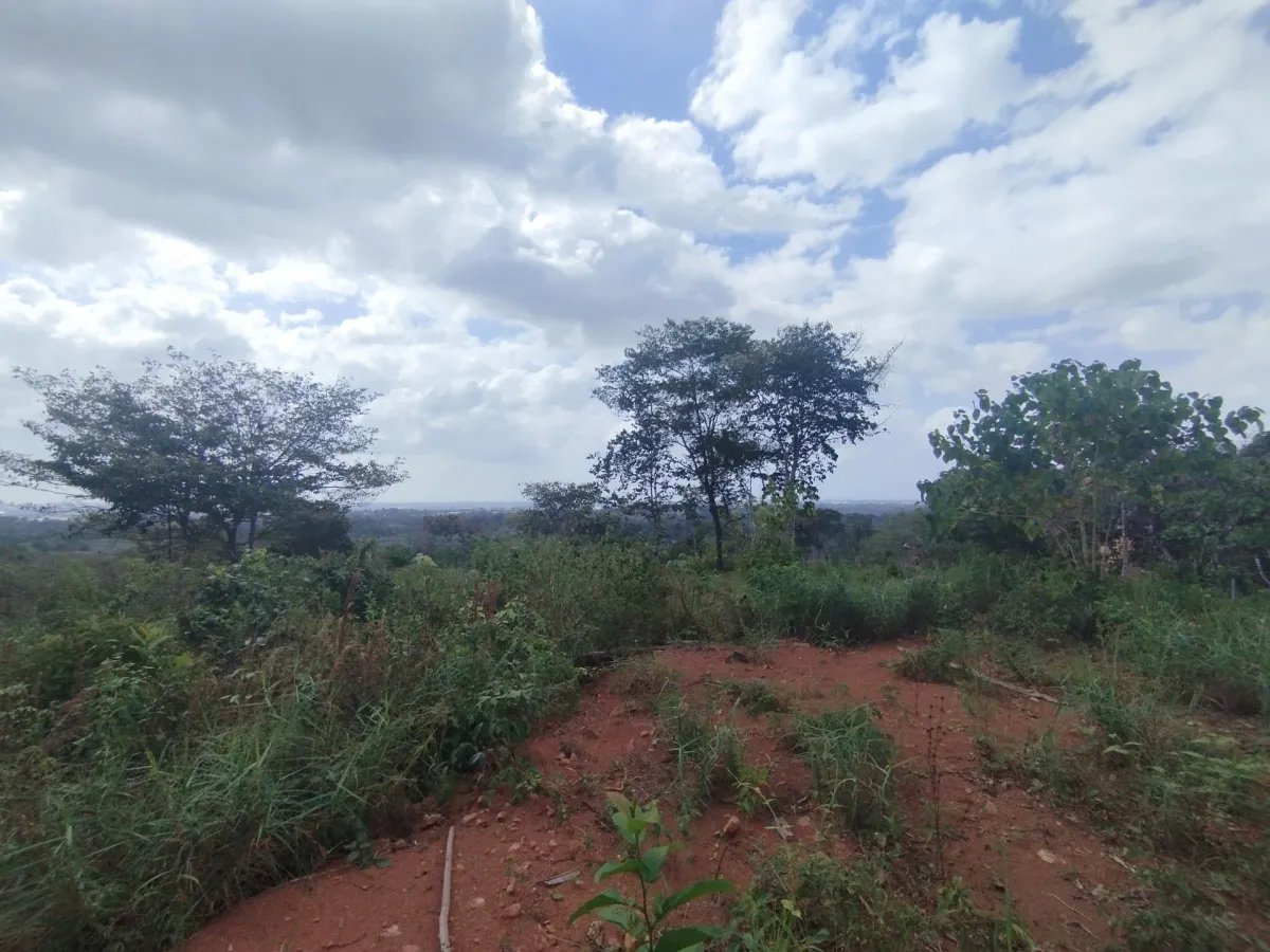 Unimproved Land For Sale in Pedregal Villalobos
