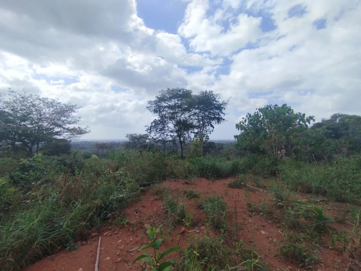 Unimproved Land For Sale in Pedregal Villalobos