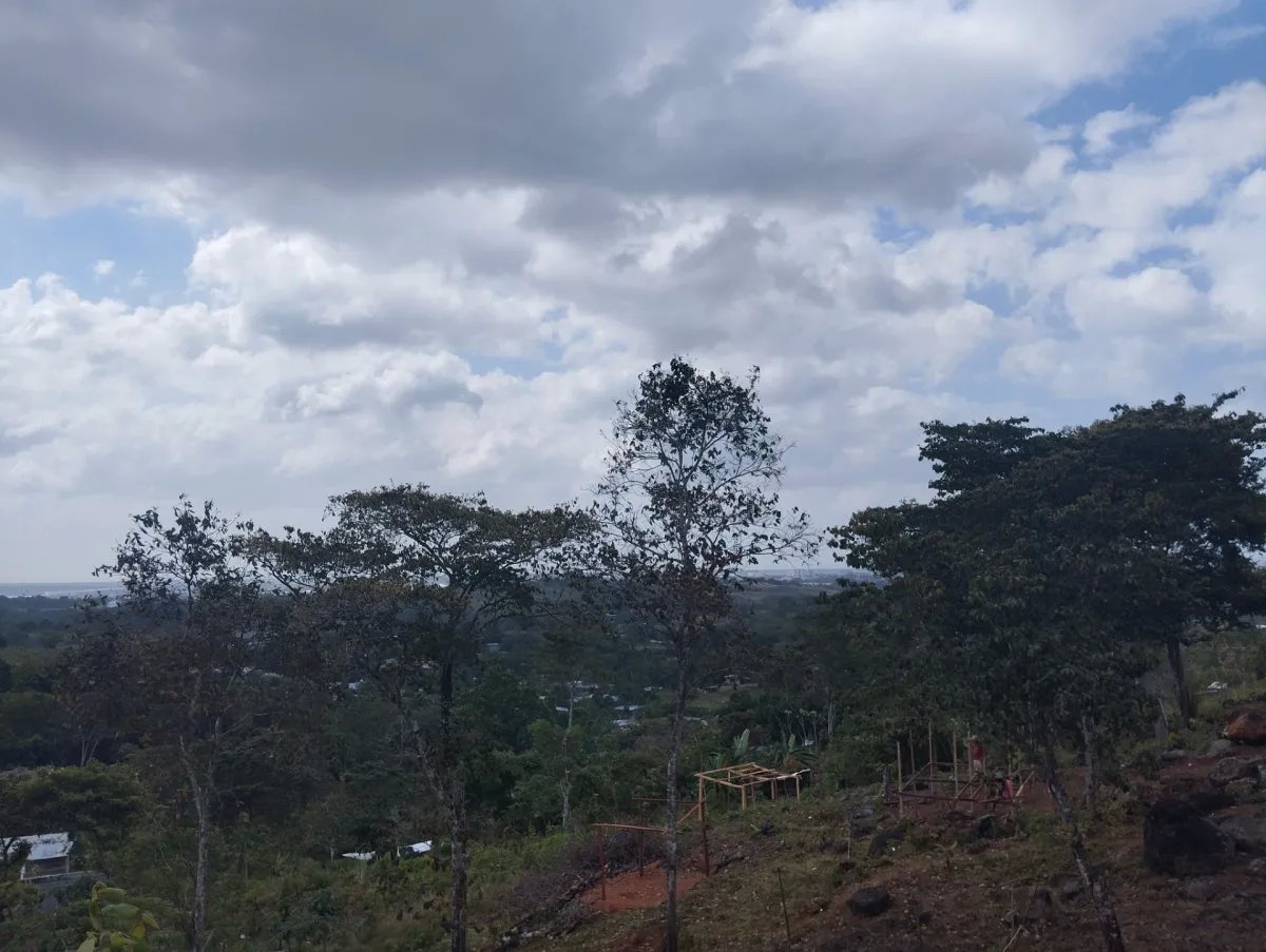 Unimproved Land For Sale in Pedregal Villalobos