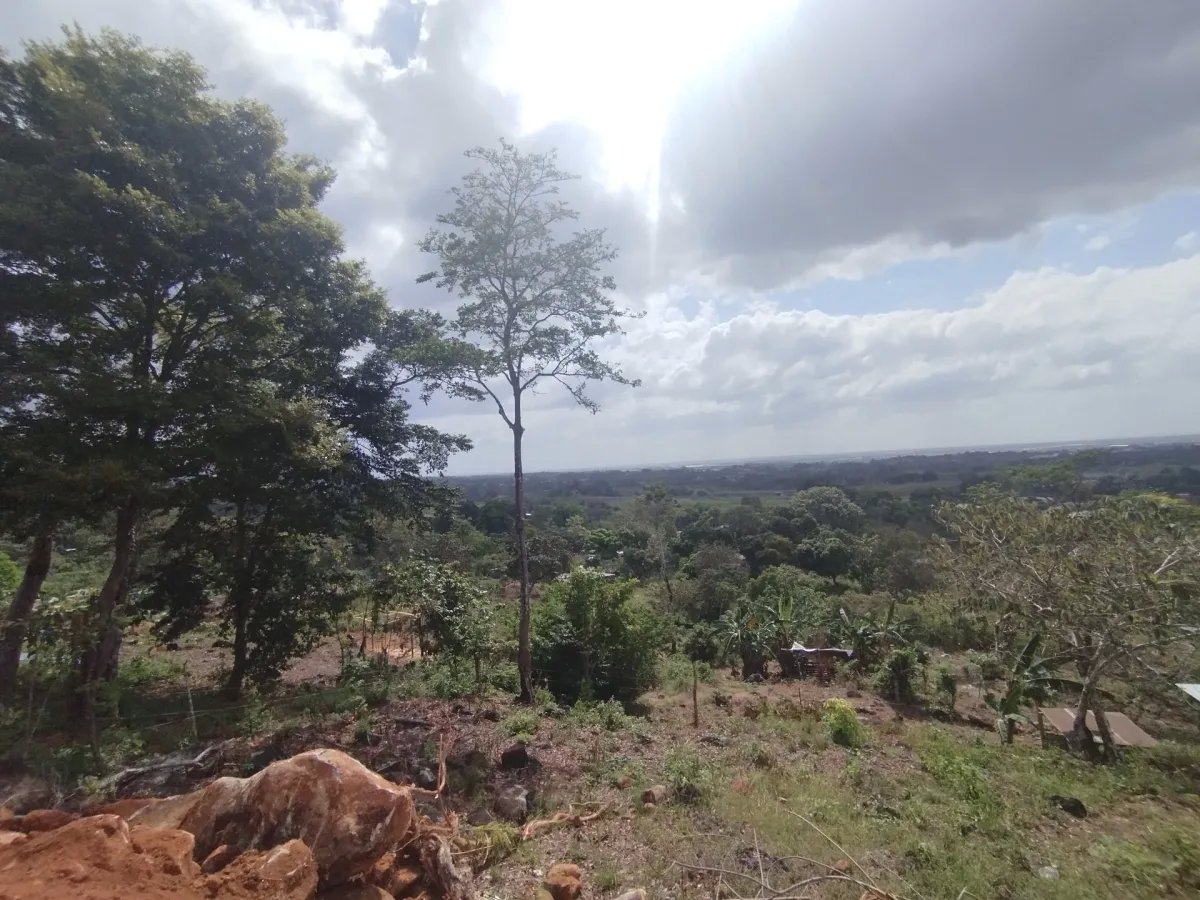 Unimproved Land For Sale in Pedregal Villalobos