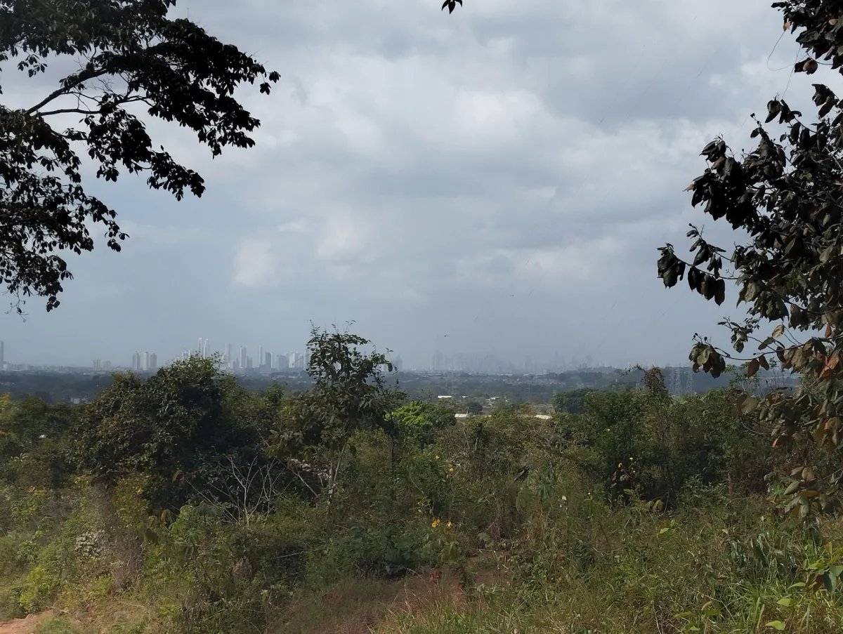 Unimproved Land For Sale in Pedregal Villalobos
