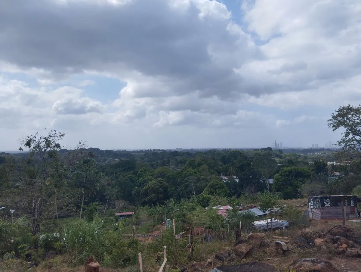 Unimproved Land For Sale in Pedregal Villalobos
