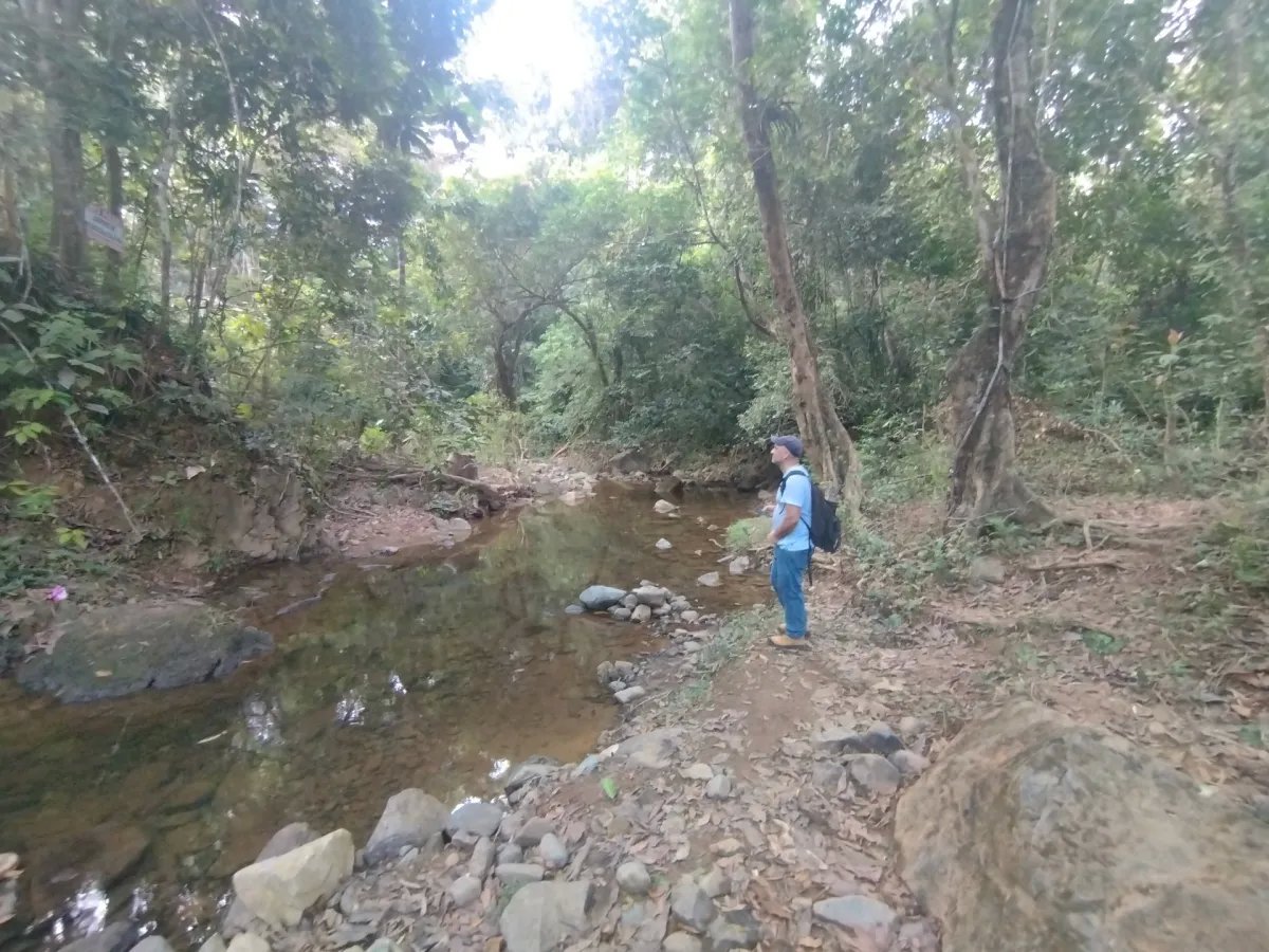 Unimproved Land For Sale in Pedregal Villalobos