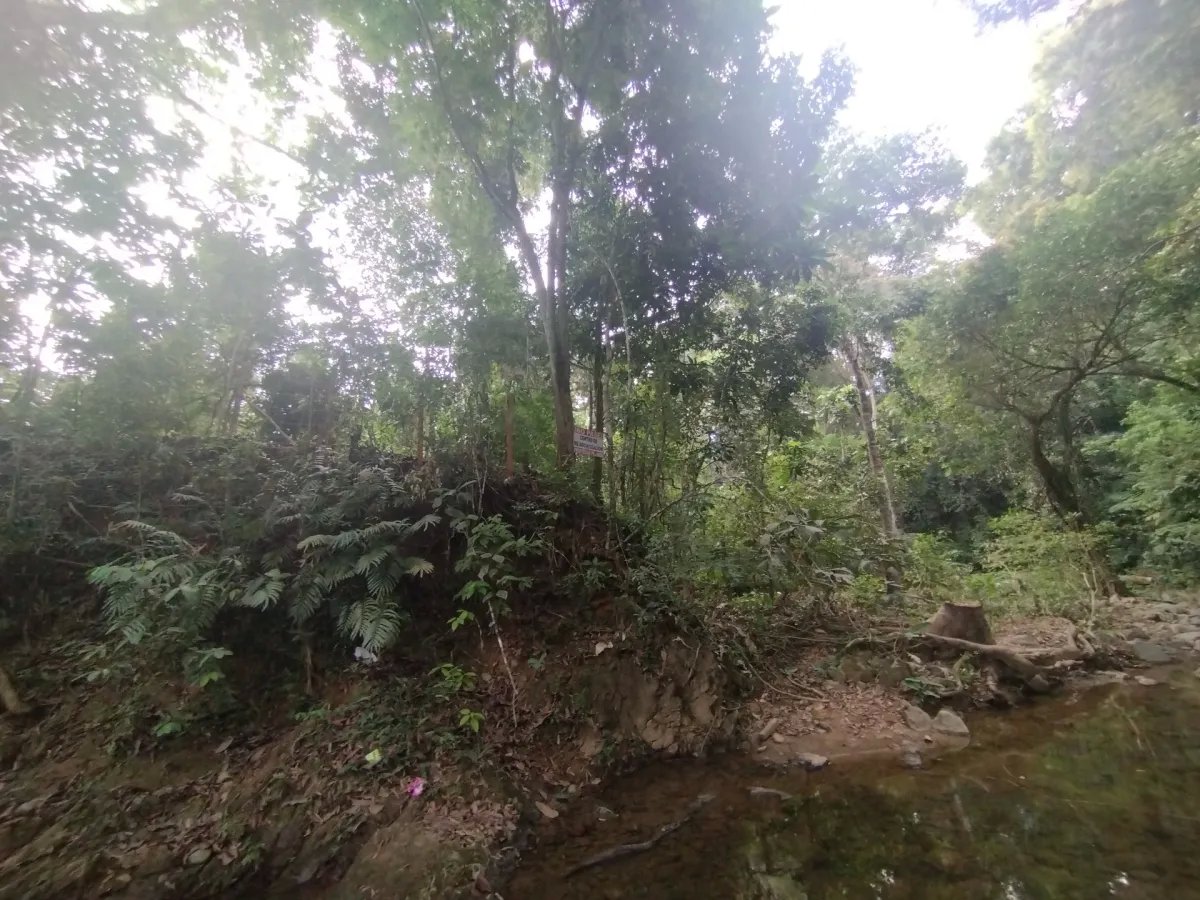 Unimproved Land For Sale in Pedregal Villalobos