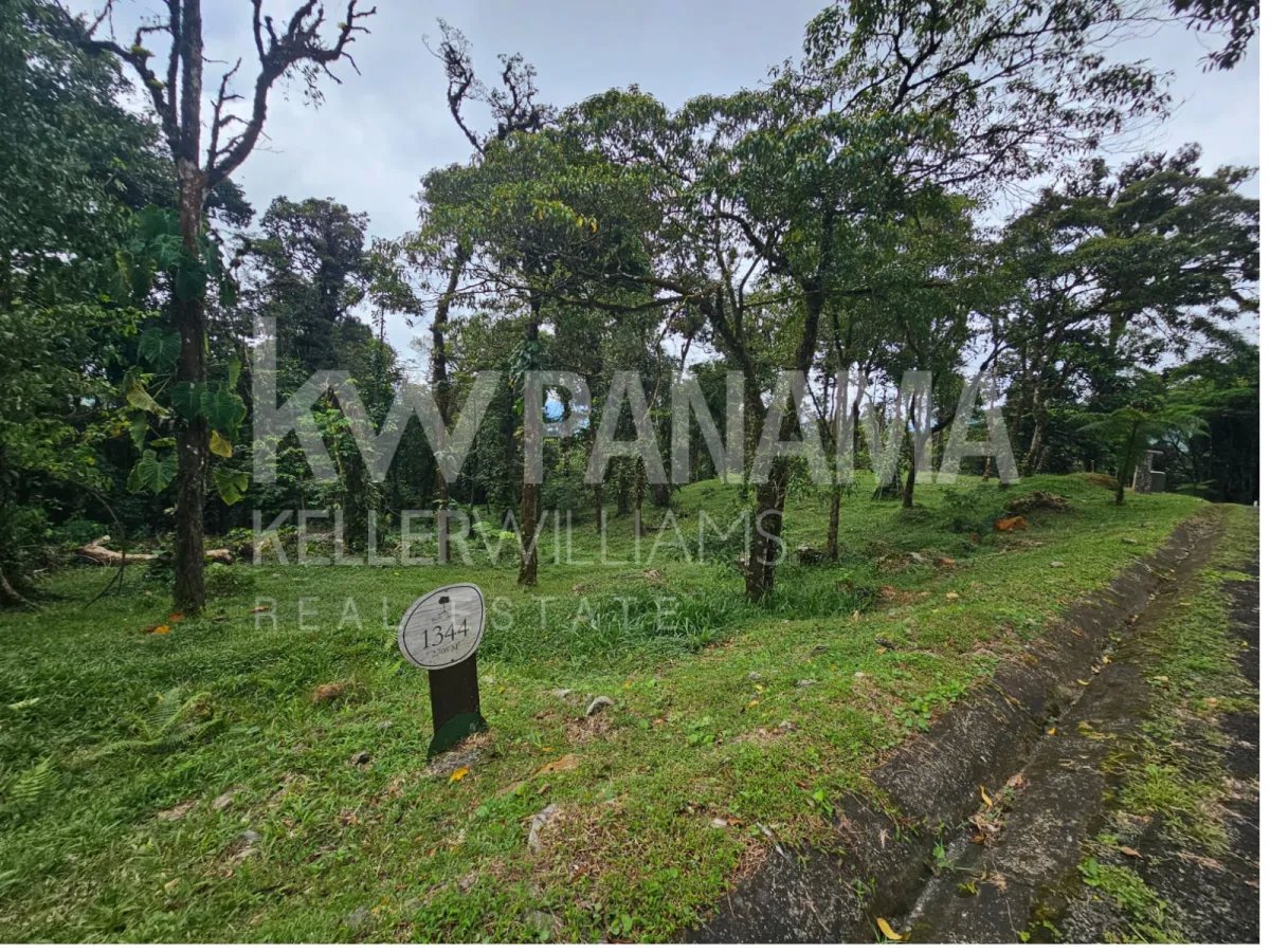 Vacation Home For Sale in Altos del Maria
