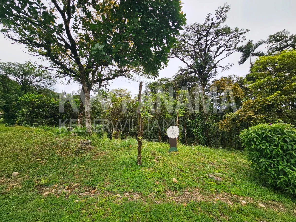 Terrenos en Venta en Altos de María
