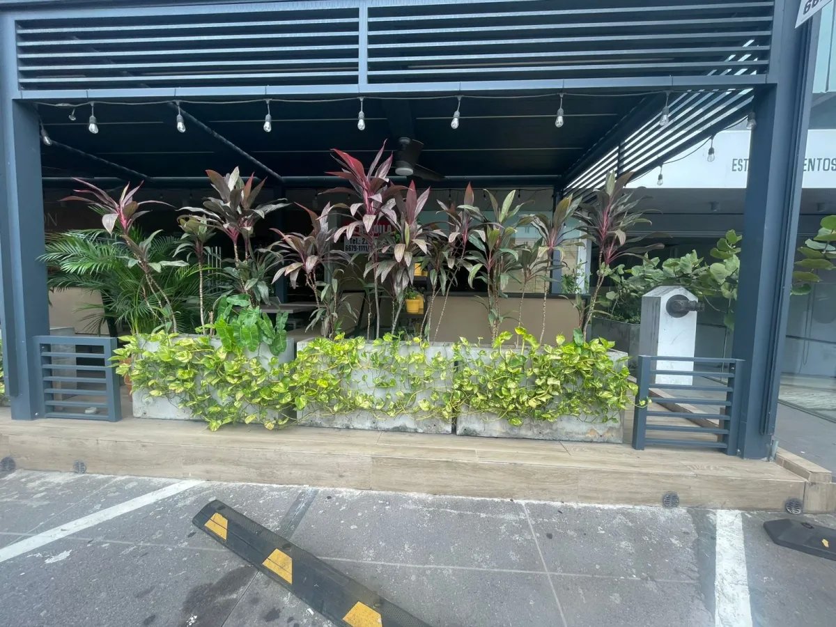 Alquiler de Local en Gris en Plaza San Francisco - Panamá