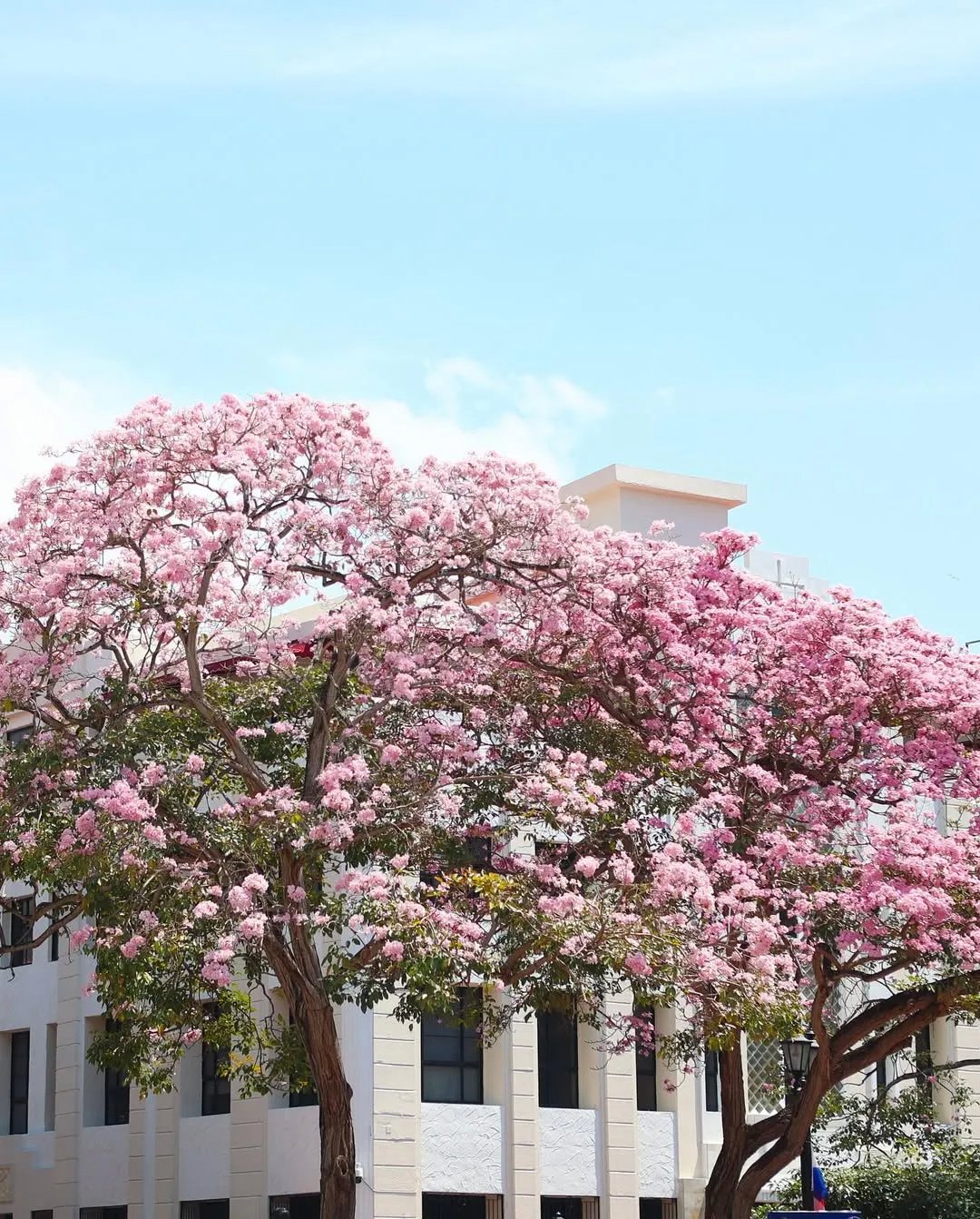 Apartment For Sale in Casco Viejo