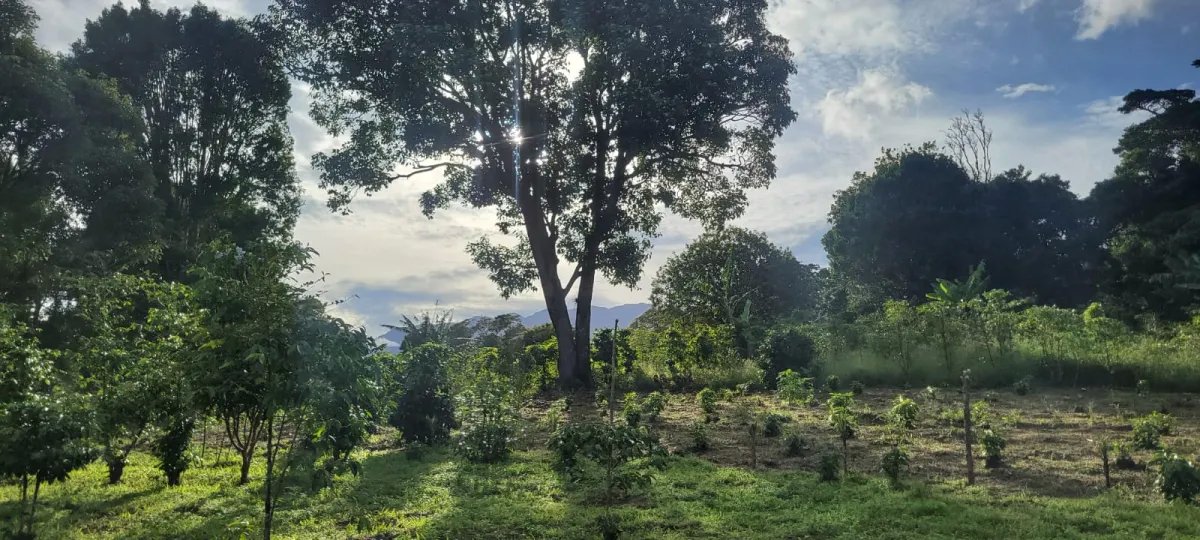 Terreno en Venta en Boquete  3,333 m² con Vista al Volcán Barú/ Land ...